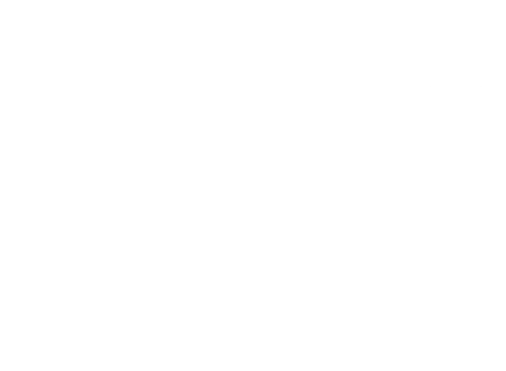 logo mepps blanc